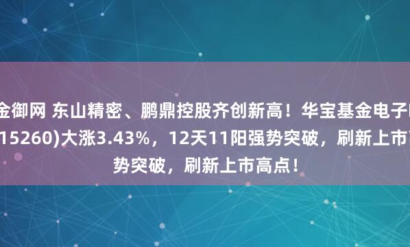 金御网 东山精密、鹏鼎控股齐创新高！华宝基金电子ETF(515260)大涨3.43%，12天11阳强势突破，刷新上市高点！